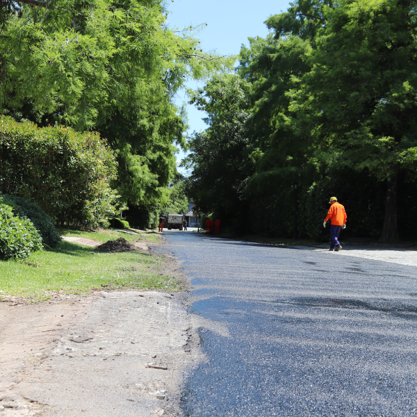 Proyecto Barrio Privado