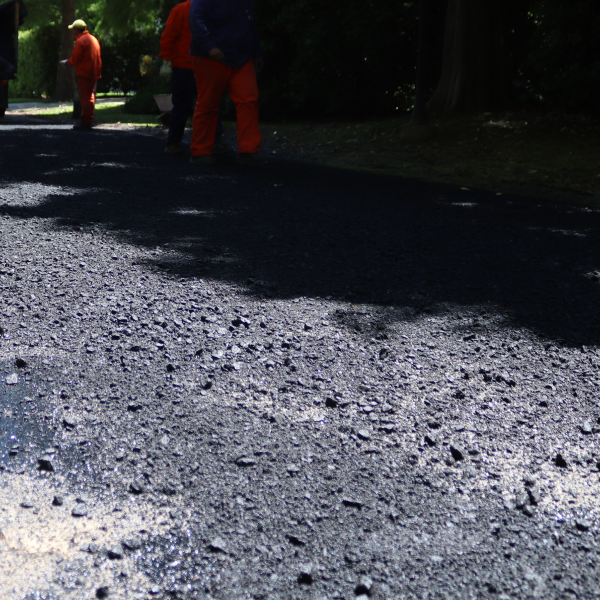 Proyecto Barrio Privado