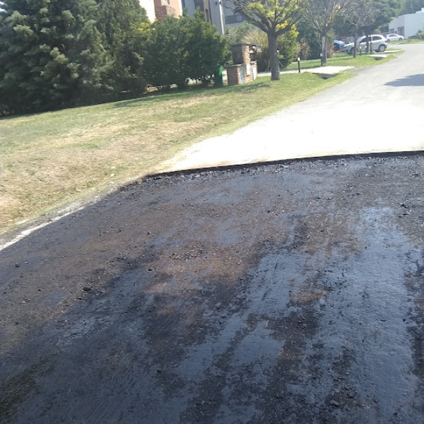 Proyecto La Cesarina